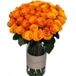 Orange Rose