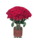 Red Rose
