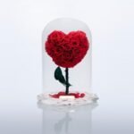 Red forever rose Box