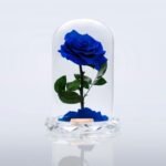 violet forever rose Box