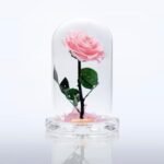 pink forever rose Box