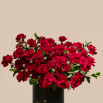 Red 2nd Arrangement